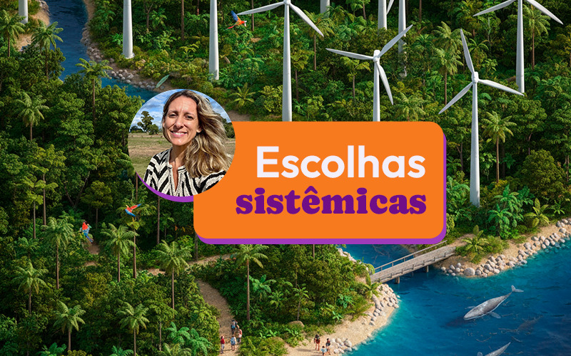 ilustração com a frase “Escolhas sistêmicas” + foto da Fernanda grottera - ESG e Storytelling